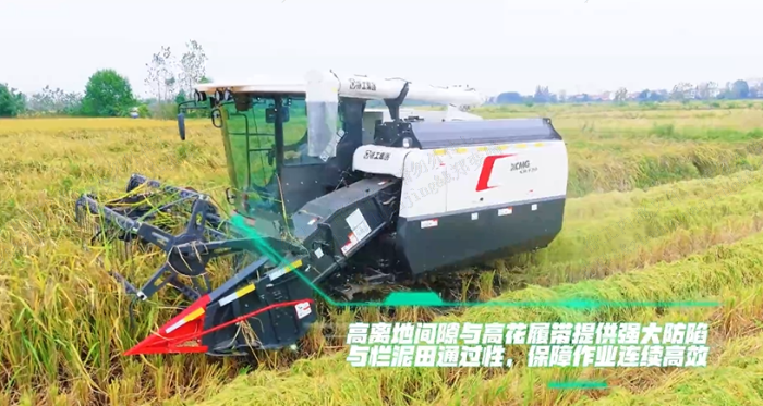 b533a37c8dd34bb5816c9de7569cbd2d