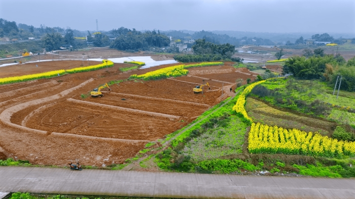 590921522da8494db1b588faa810011c